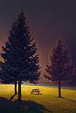 Park At Dark_01774-6